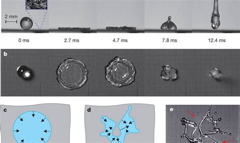  Fluoroelastômero: Material de Alto Desempenho para Aplicações em Ambientes Exigentes!